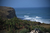Enlarge photo 1383