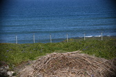 Enlarge photo 1389