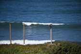 Enlarge photo 1391