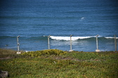 Enlarge photo 1393