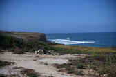 Enlarge photo 1396