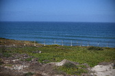 Enlarge photo 1405