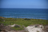 Enlarge photo 1407