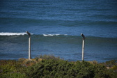 Enlarge photo 1417