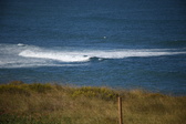 Enlarge photo 1421
