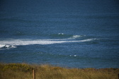 Enlarge photo 1422