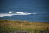 Enlarge photo 1423