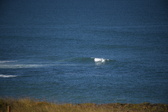 Enlarge photo 1427