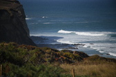 Enlarge photo 1431