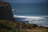Enlarge photo 1433