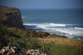 Enlarge photo 1443