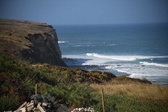 Enlarge photo 1445