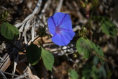 Enlarge photo 1459