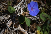 Enlarge photo 1460