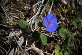 Enlarge photo 1461