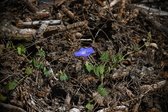 Enlarge photo 1464