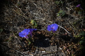 Enlarge photo 1468