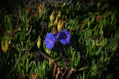 Enlarge photo 1469