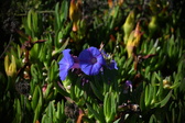 Enlarge photo 1473