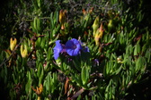 Enlarge photo 1474