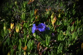 Enlarge photo 1475