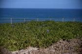 Enlarge photo 1477