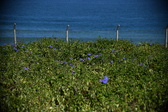 Enlarge photo 1480