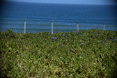 Enlarge photo 1481