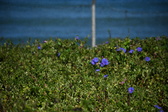 Enlarge photo 1482