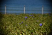 Enlarge photo 1485