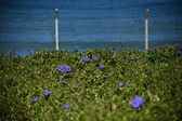 Enlarge photo 1486