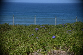 Enlarge photo 1488