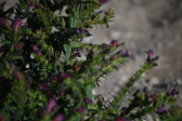 Enlarge photo 1489