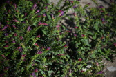 Enlarge photo 1492