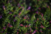 Enlarge photo 1503