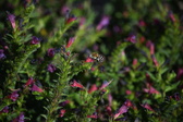 Enlarge photo 1507