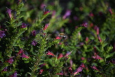 Enlarge photo 1510