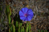 Enlarge photo 1522