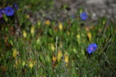 Enlarge photo 1532