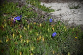 Enlarge photo 1533