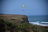 Enlarge photo 1559