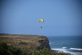 Enlarge photo 1560