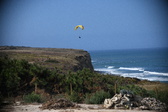 Enlarge photo 1561