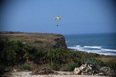 Enlarge photo 1562