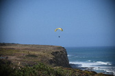 Enlarge photo 1564