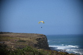Enlarge photo 1565