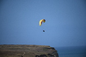 Enlarge photo 1575