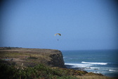 Enlarge photo 1584