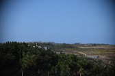 Enlarge photo 1593