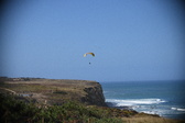 Enlarge photo 1599